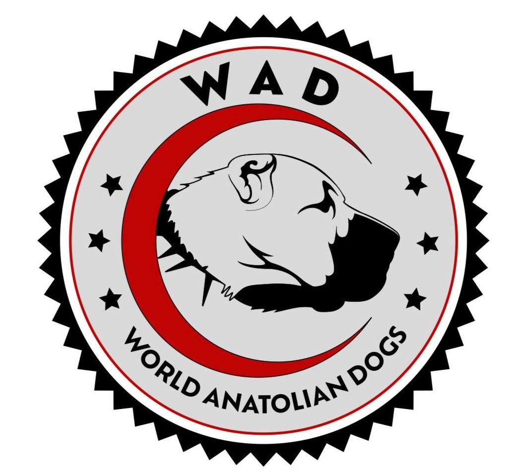 This is a logo of the registry World Anatolian Dogs